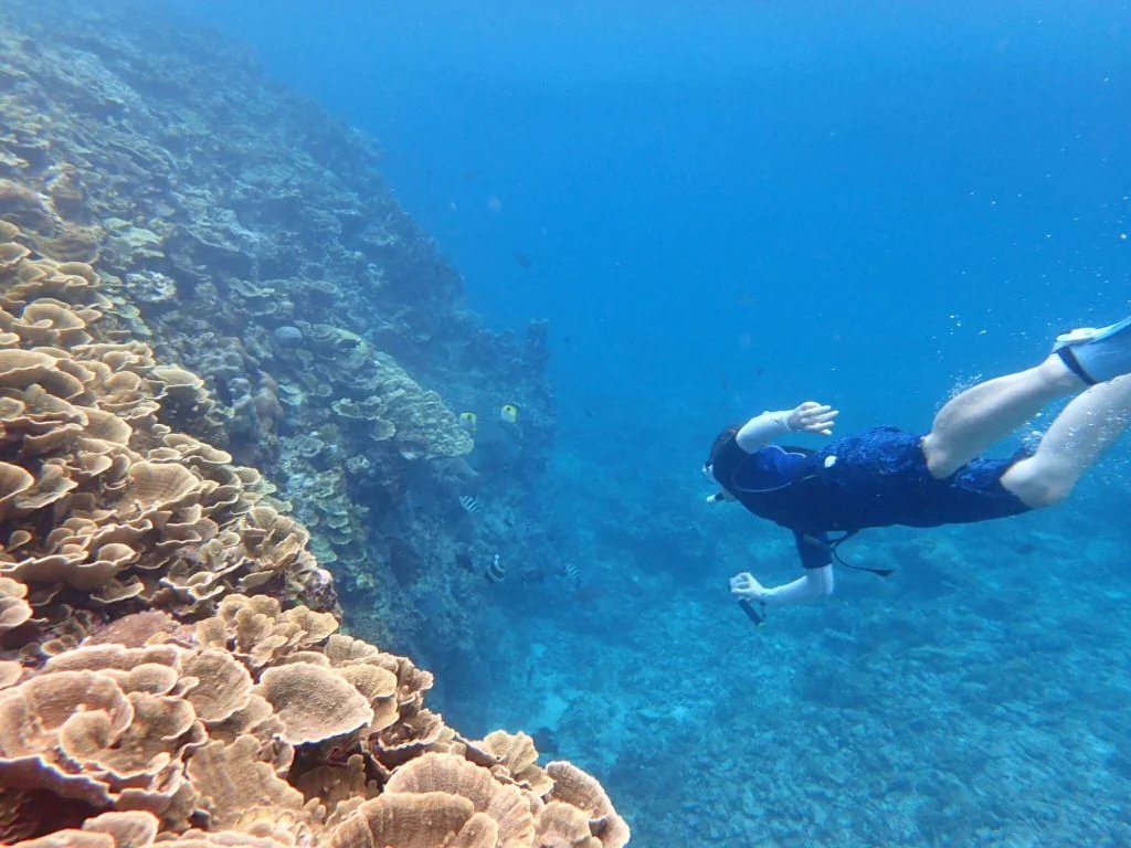 🌊 상어 우물터 (사바우츠가) 이미지 5